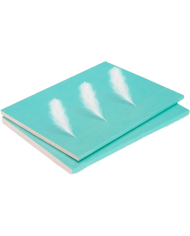 Placa de Gesso Cartonado Ultra-Leve Pladur